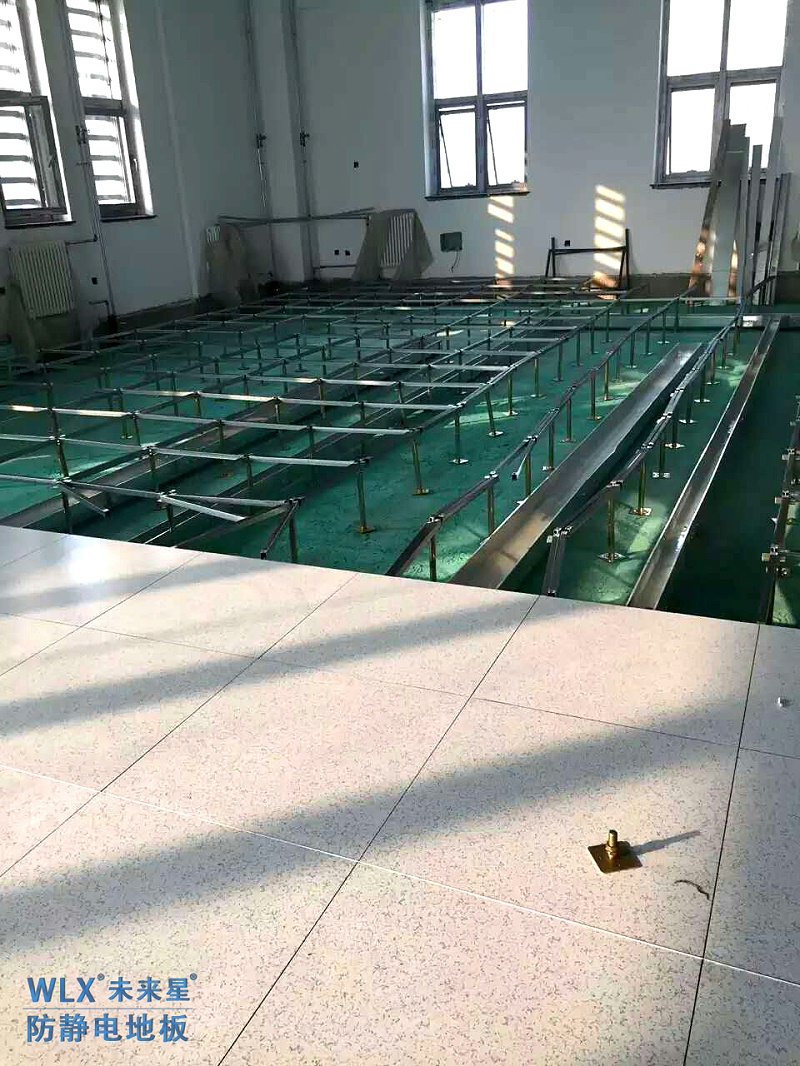 陕西省中医脑科医院-小兰花陶瓷防静电地板