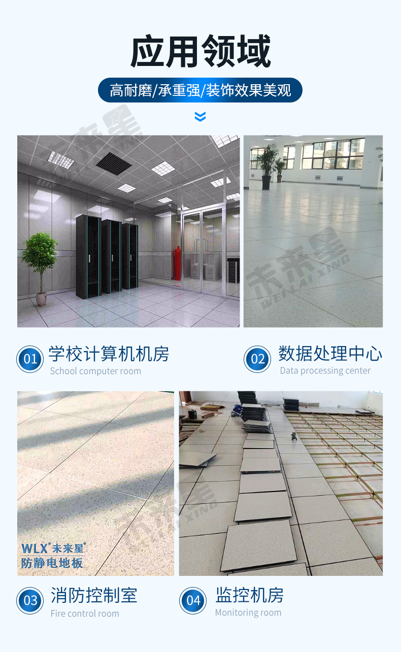 兰花_11.jpg
