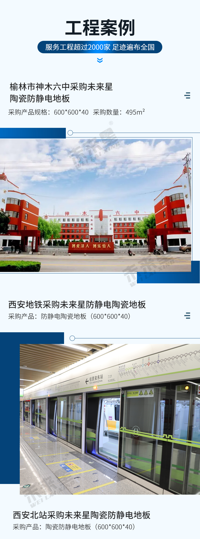 兰花_13.jpg